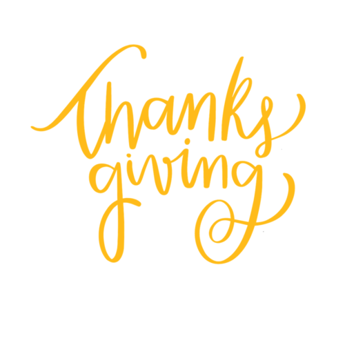 Thanksgiving Dinner CATERING